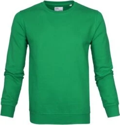 Colorful Standard Sweater Kelly Green