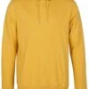 Colorful Standard Organic Hoodie Geel