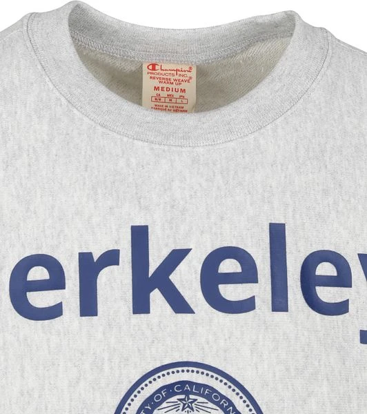 Champion Sweater Logo Berkely Grijs - Afbeelding 4