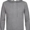 Profuomo Hoodie Grijs